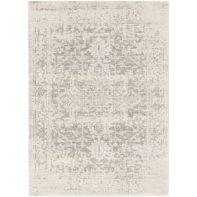 3' x 5' Distressed Oriental Area Rug in Light Grey / Beige