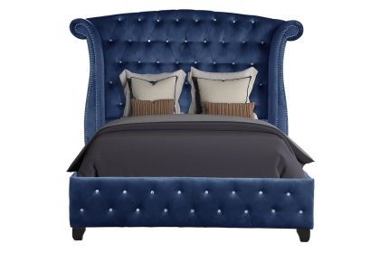 Sophia Queen bed Blue