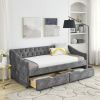 Twin Size Daybed with Drawers Upholstered Tufted Sofa Bed, with Button on Back and Copper Nail on Waved Shape Arms, Grey (81.5''x4''x30.5'')